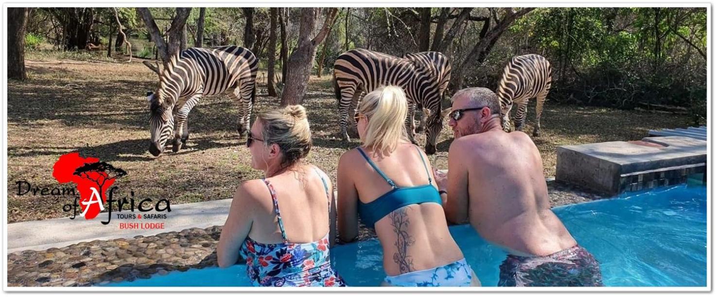 Dream Of Africa Bush Lodge Marloth Park Extérieur photo