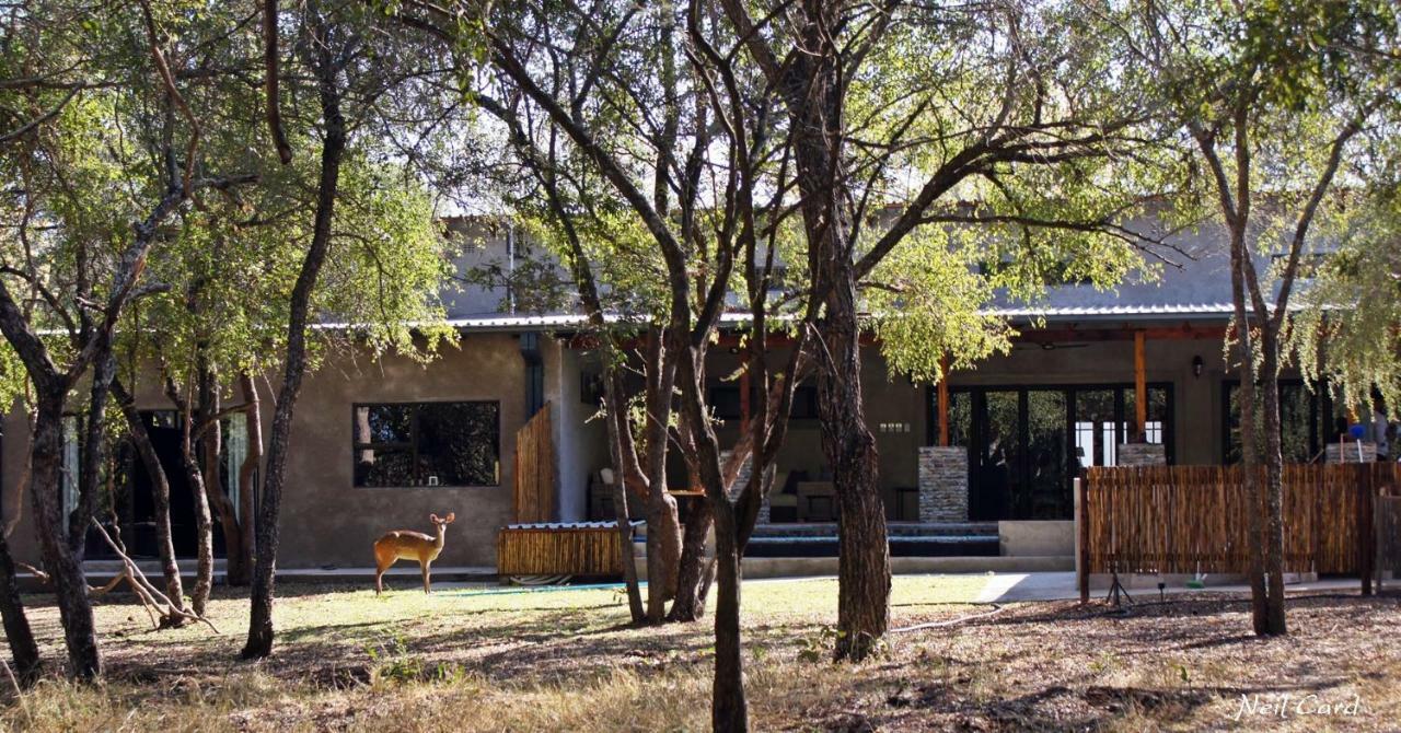 Dream Of Africa Bush Lodge Marloth Park Extérieur photo
